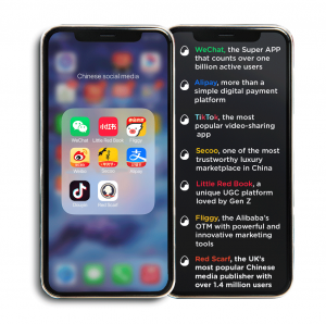 Chinese social media solutions: WeChat, Alipay, Baidu,Tiktok | EGGsist - Digital consulting firm for the International and Chinese market